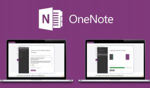 Microsoft-OneNote