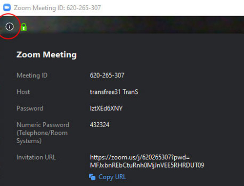 download TranS