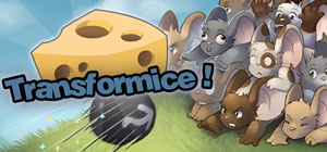 Transformice