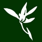 download blumind portable