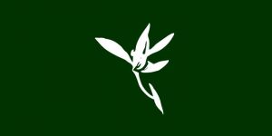 download blumind portable