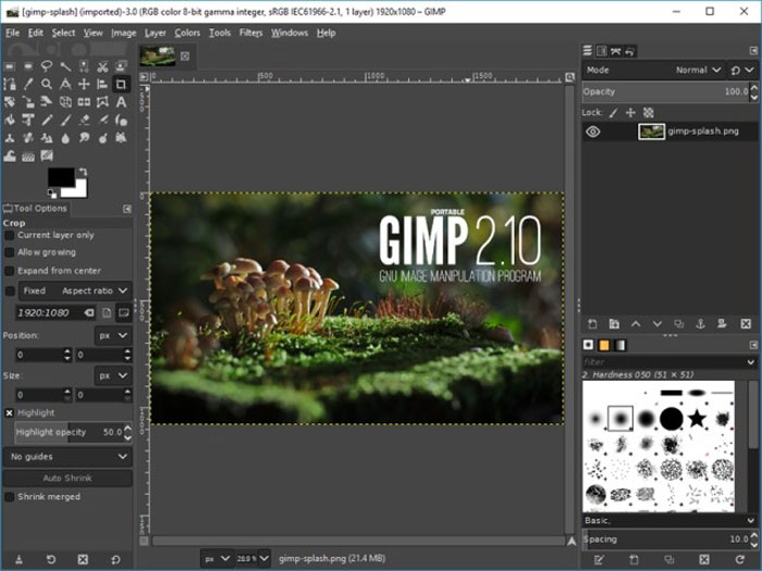 gimp 2021