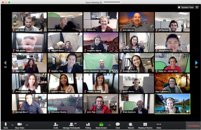 zoom cloud meeting
